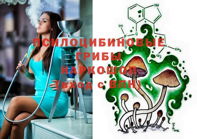 Галлюциногенные грибы Magic Shrooms  Гдов 